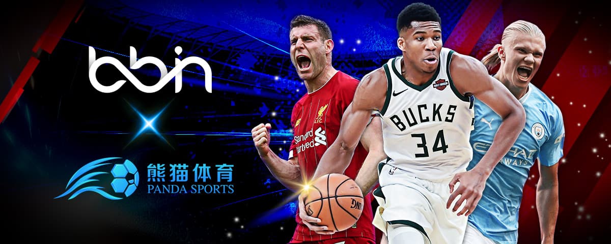 是主教练的