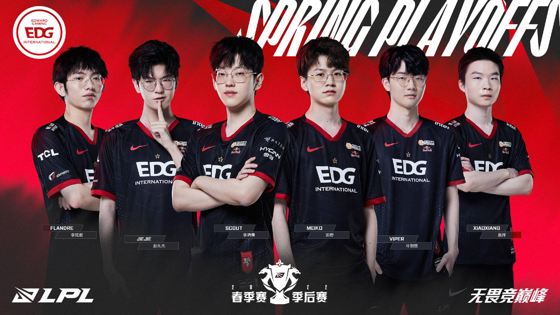 这不仅展示 这不仅展示